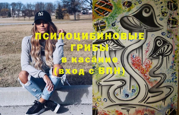spice Алексин