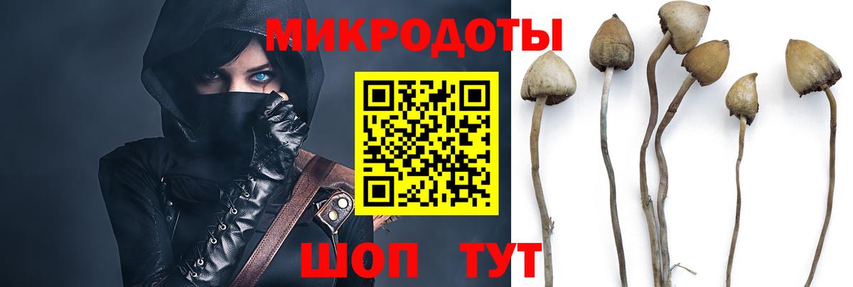 Псилоцибиновые грибы прущие грибы  Галлюциногенные грибы мухоморы  Вход с VPN  Воткинск 